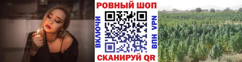 Наркотические вещества Тамбов ГАШИШ  МАРИХУАНА  A PVP  Меф мяу мяу 