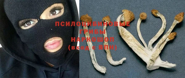 Альфа ПВП Алзамай