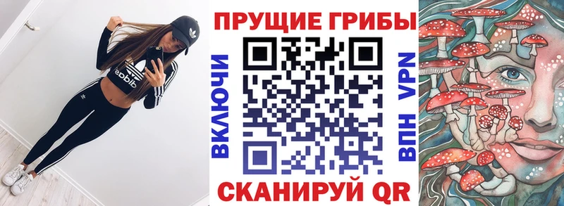 Галлюциногенные грибы Psilocybine cubensis  Тамбов 