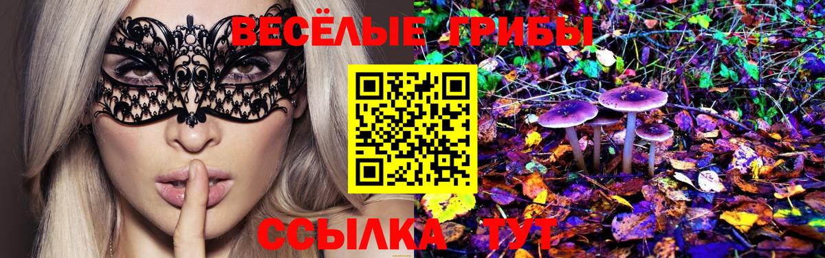Галлюциногенные грибы Cubensis Тамбов