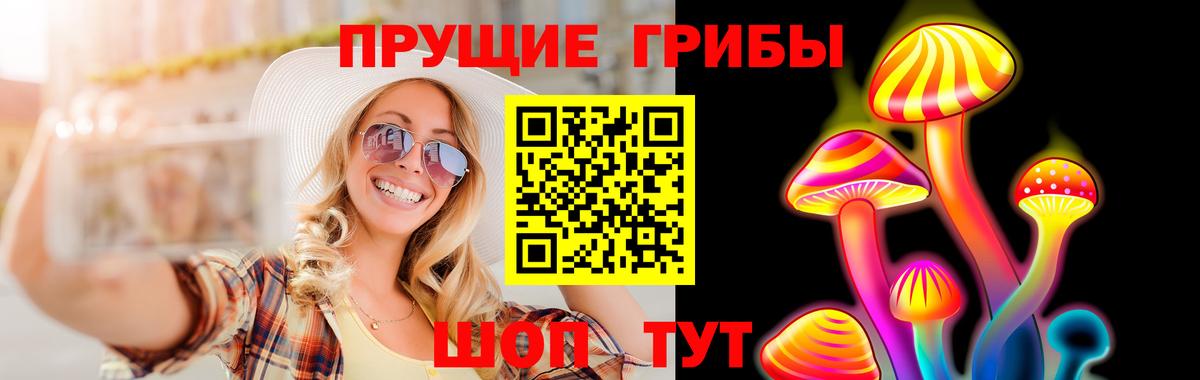 Тамбов  Галлюциногенные грибы Magic Shrooms  Псилоцибиновые грибы Psilocybe  купить наркотик  Вход с VPN 