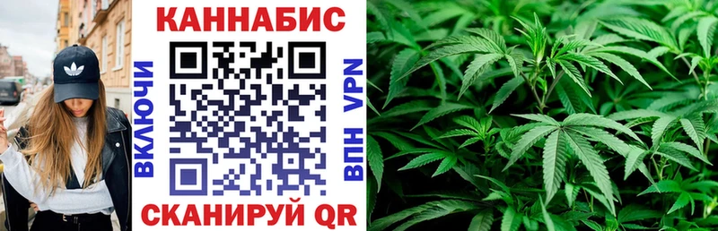 Бошки марихуана VHQ Тамбов